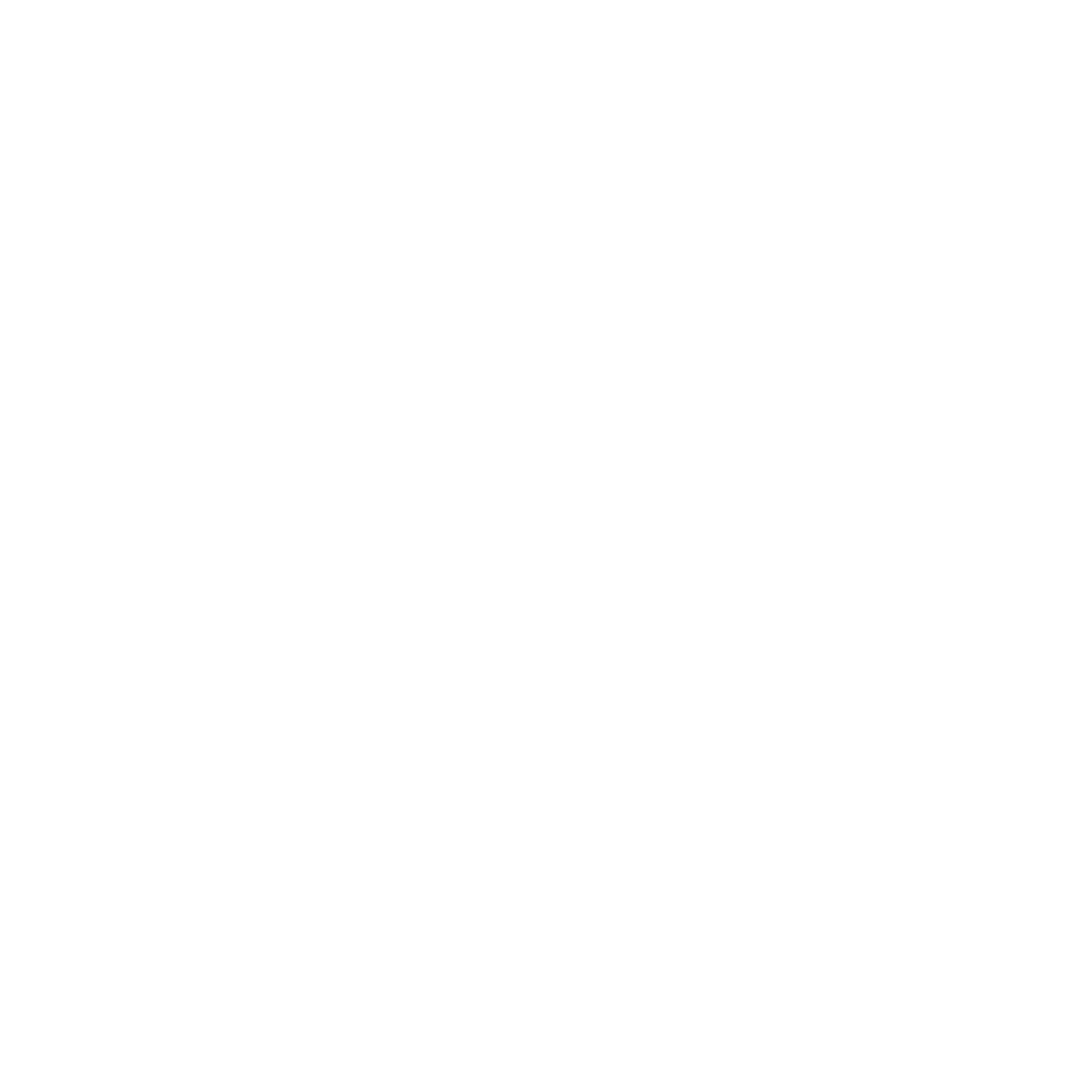 10x Digital Leads Logo