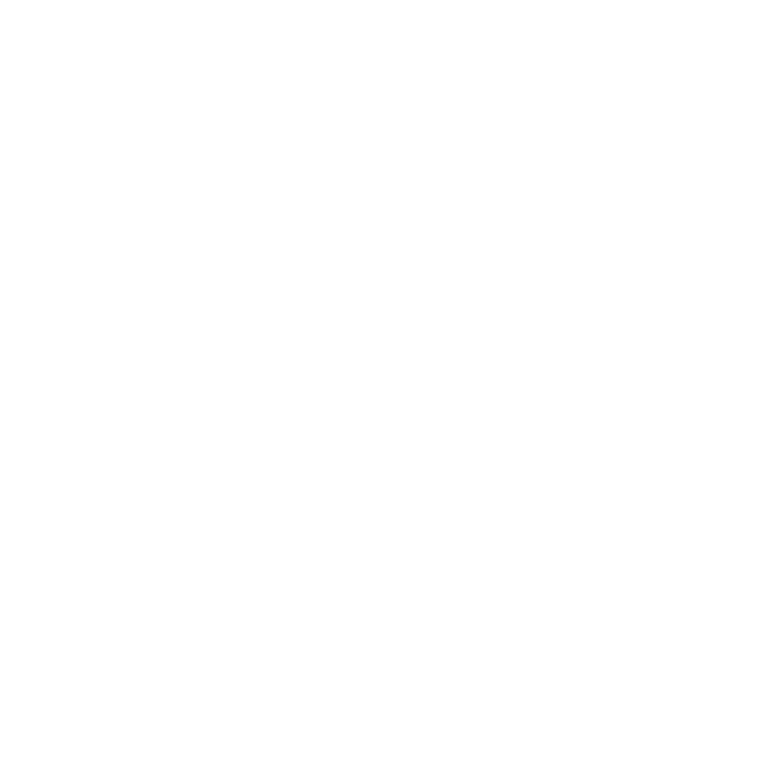 Patient Aquisition Logo