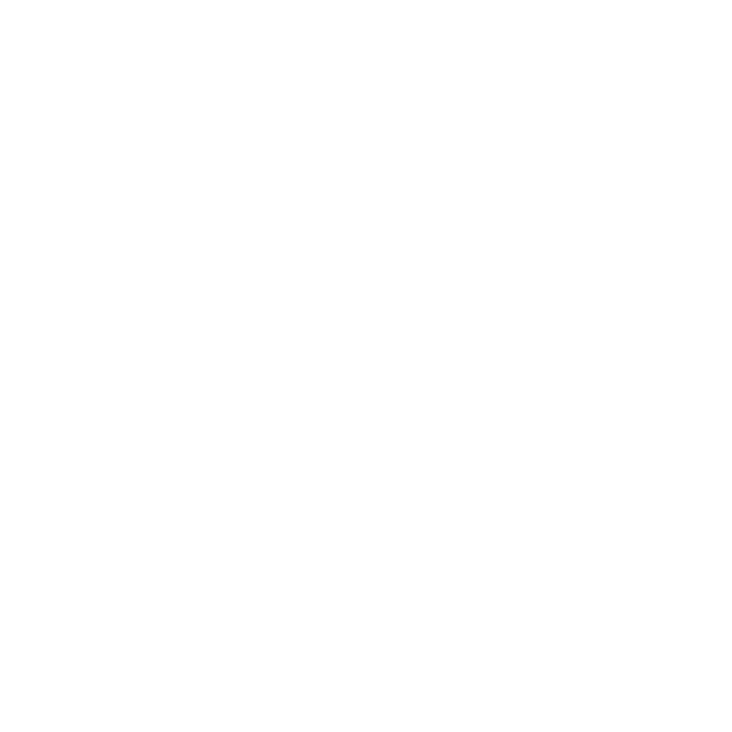 Sierra Marketing Logo
