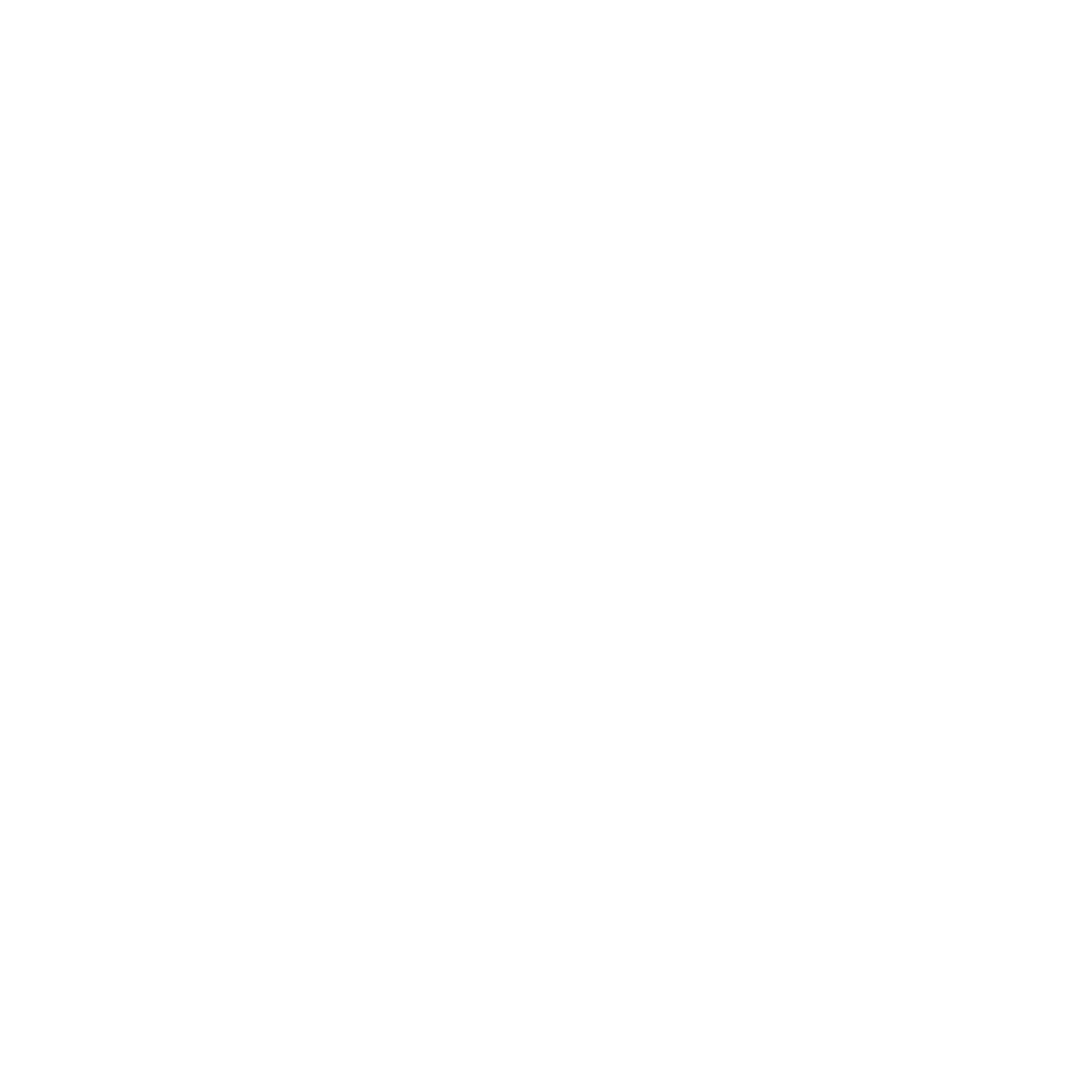 Social Waves Logo